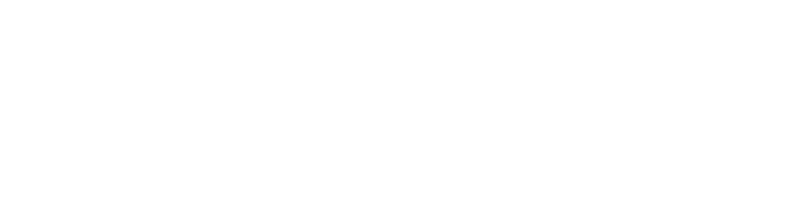 Latvian Racing League